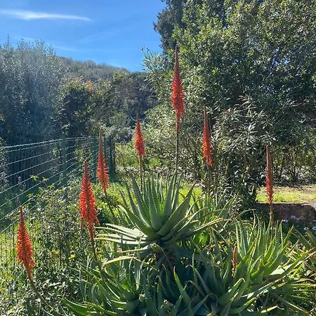 Hotell Gaia Portoferraio