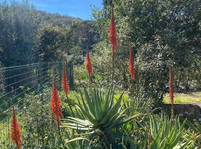 酒店 Gaia 费拉约港