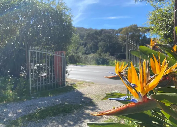 Gaia Hotell Portoferraio